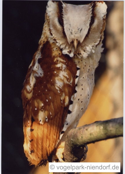 Vogelpark Niendorf